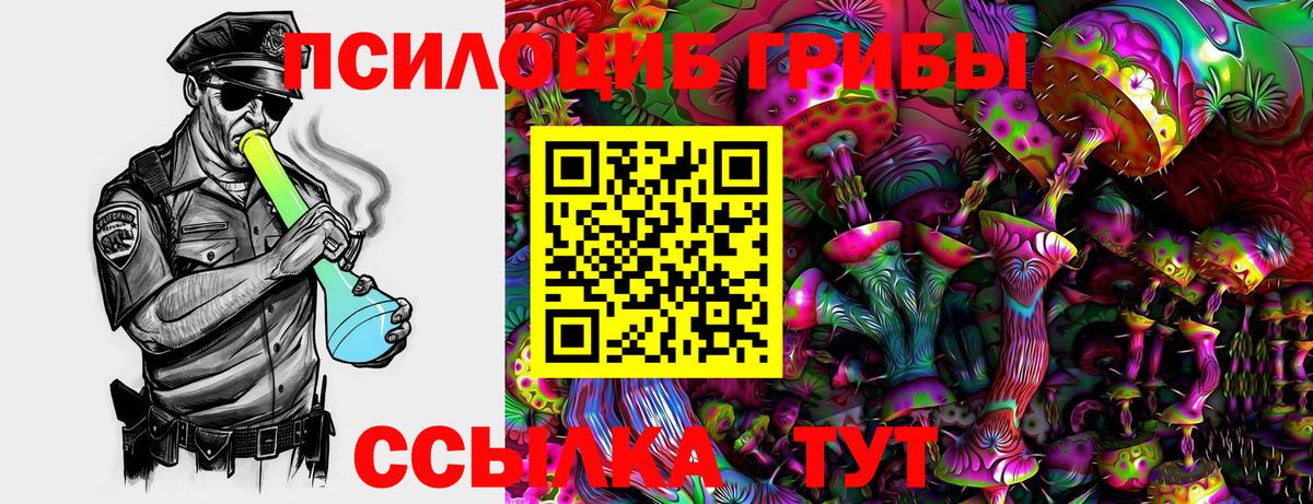 Лесосибирск  Галлюциногенные грибы мухоморы  Вход с VPN 