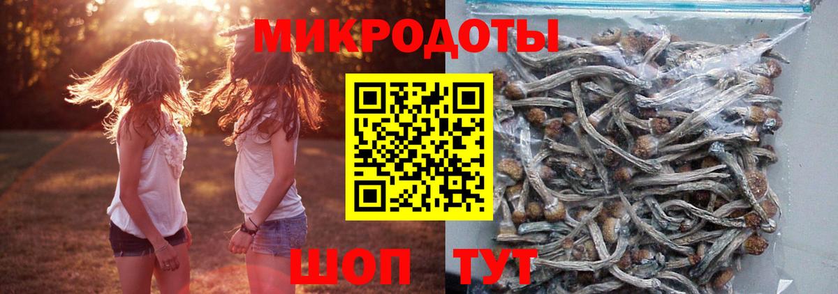 Галлюциногенные грибы ЛСД Лесосибирск